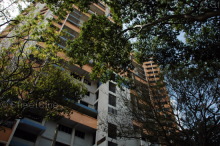 buffalo-road photo thumbnail #16